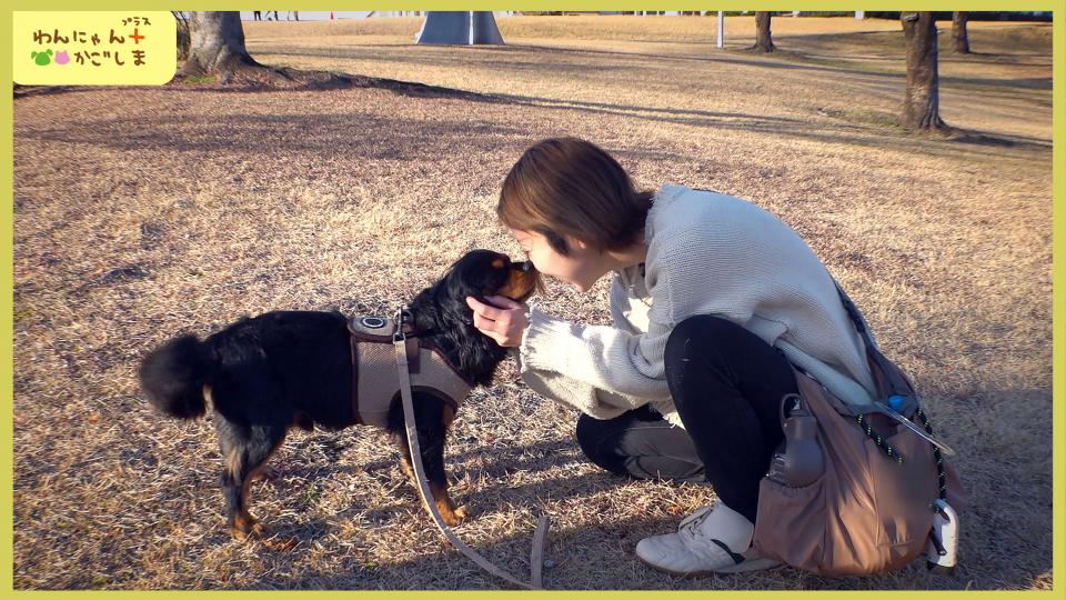 2/7(土) 午後5時25分～ わんにゃん＋かごしま 「夢中になれる 幸せ時間♪」