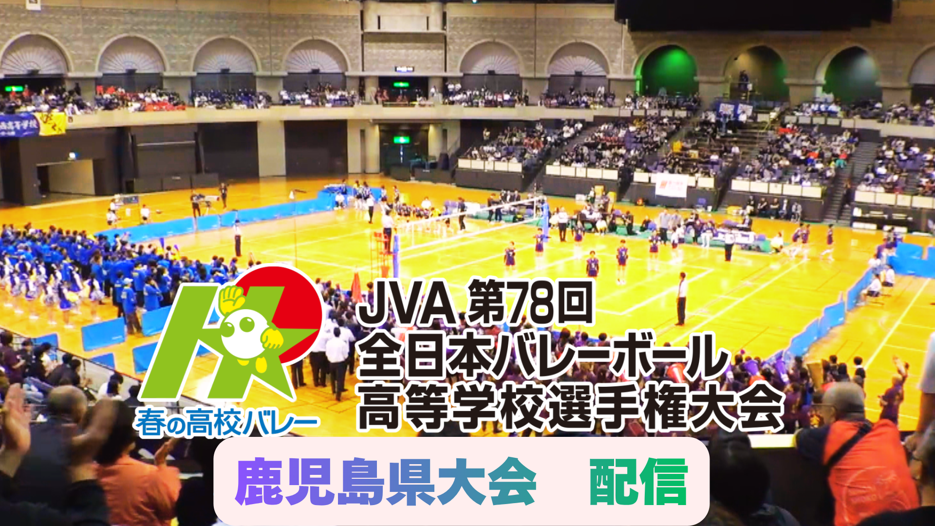 春の高校バレー メインビジュアル